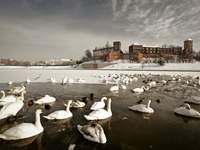 Medi-tour Poland. Medical tourism, healism in Poland.